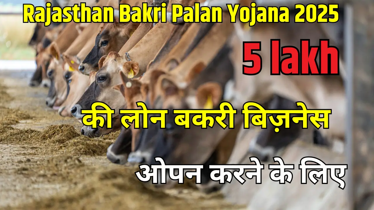 Rajasthan Bakri Palan Yojana